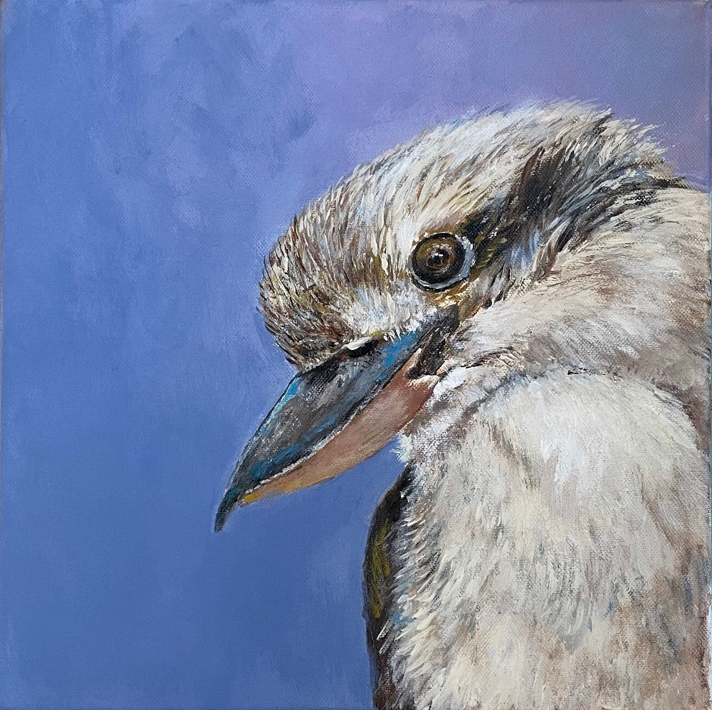 Kookaburra