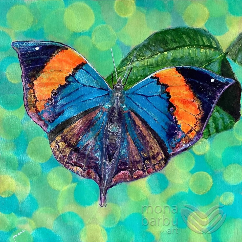Fluttering Dreams