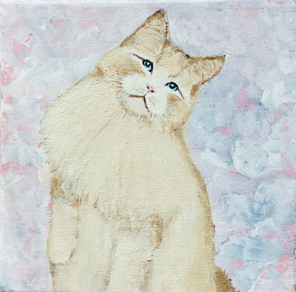 A Sweet Cat Named Pancake - Mona Barbu Art