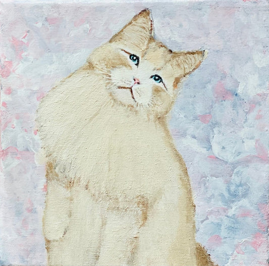 A Sweet Cat Named Pancake - Mona Barbu Art