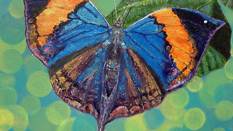 Butterflies