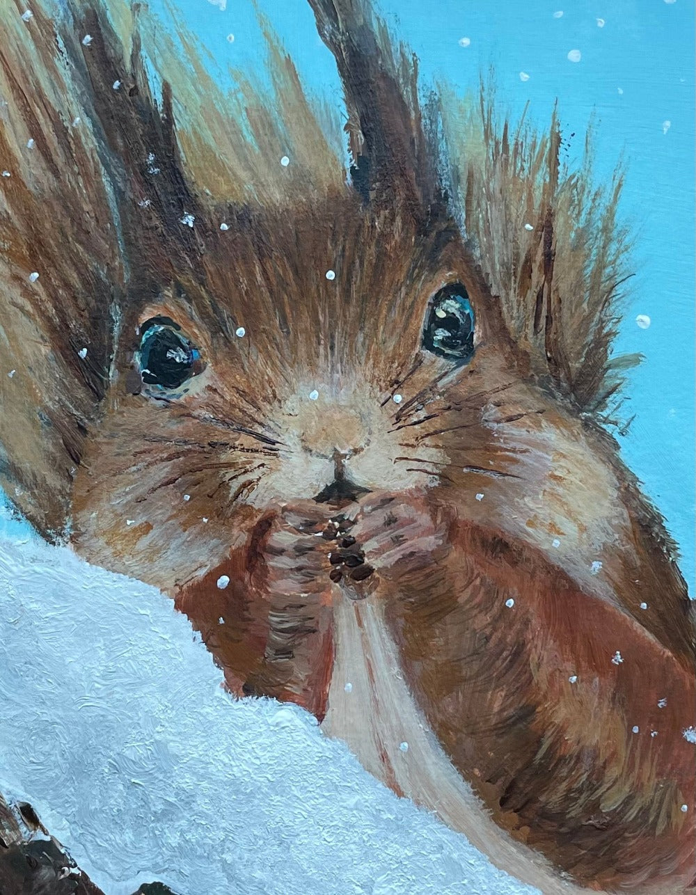 Snow squirrel