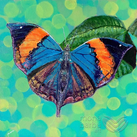 Fluttering Dreams